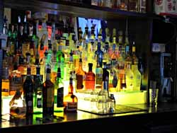 Bonzai New Braunfels